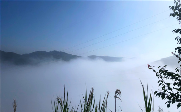 AG平台·(中国)官方网站
