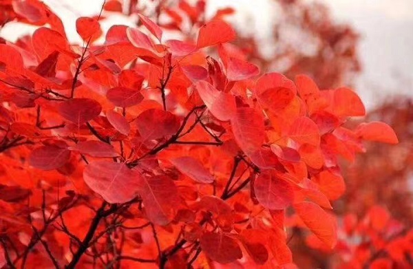 AG平台·(中国)官方网站