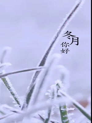 AG平台·(中国)官方网站