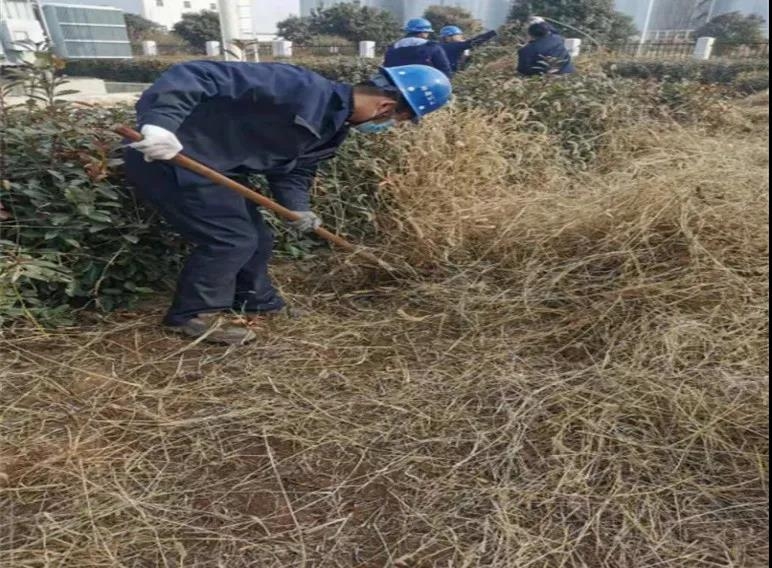 AG平台·(中国)官方网站
