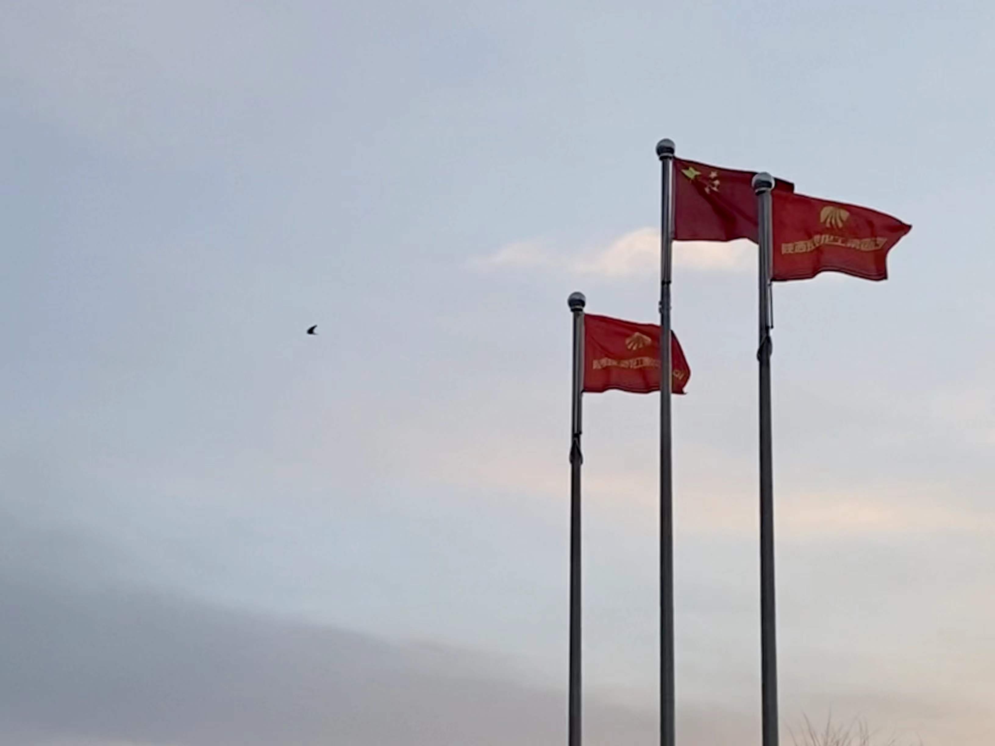 AG平台·(中国)官方网站