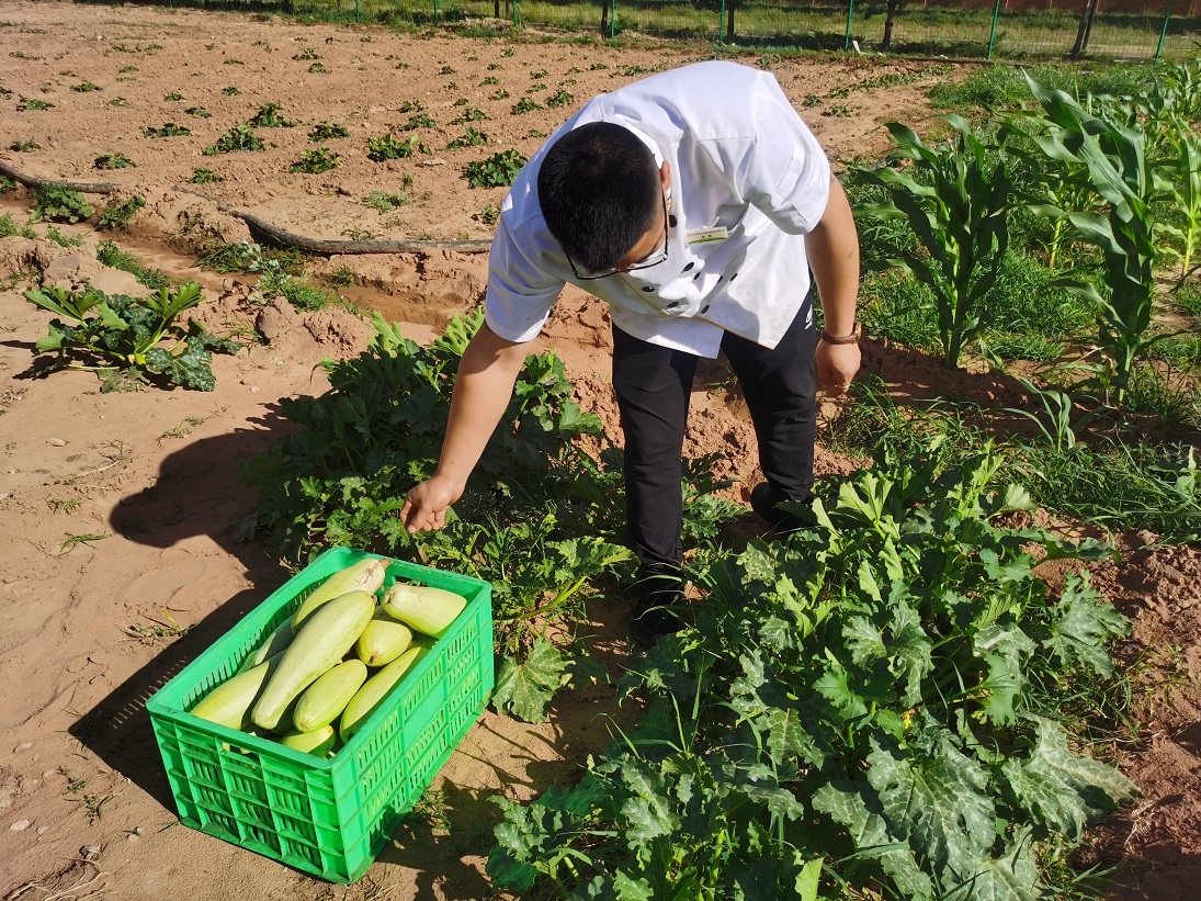 AG平台·(中国)官方网站