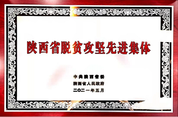 AG平台·(中国)官方网站