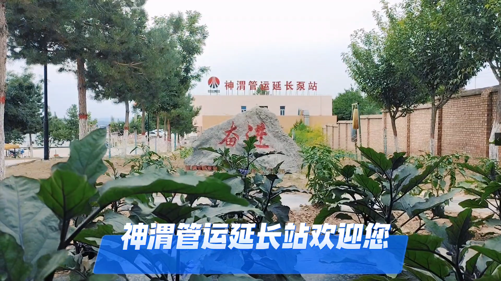 AG平台·(中国)官方网站