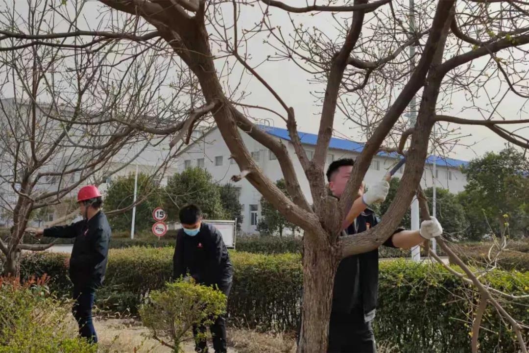 AG平台·(中国)官方网站