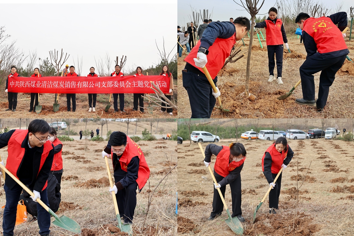 AG平台·(中国)官方网站