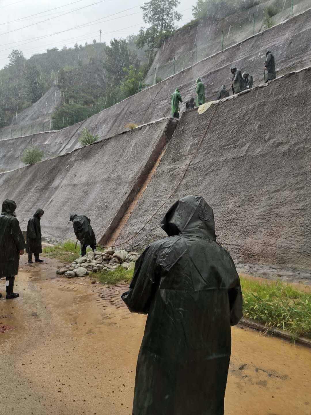 AG平台·(中国)官方网站