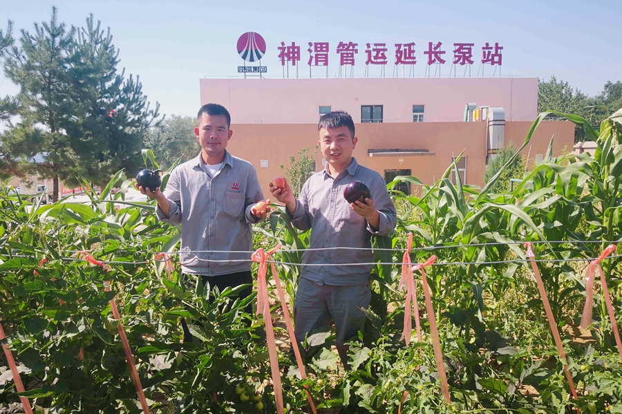 AG平台·(中国)官方网站