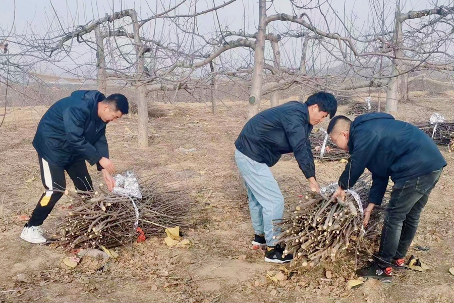 AG平台·(中国)官方网站